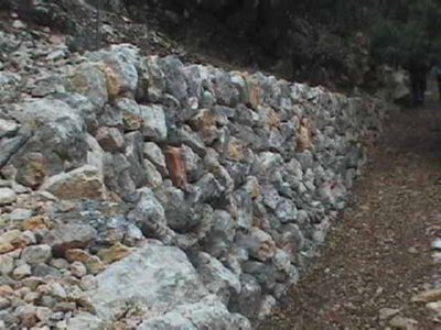 PIEDRA (7)  CAMPO ESPAMICA